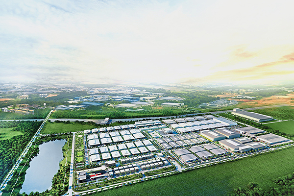 Chongqing Sunset Serenity Co., Ltd